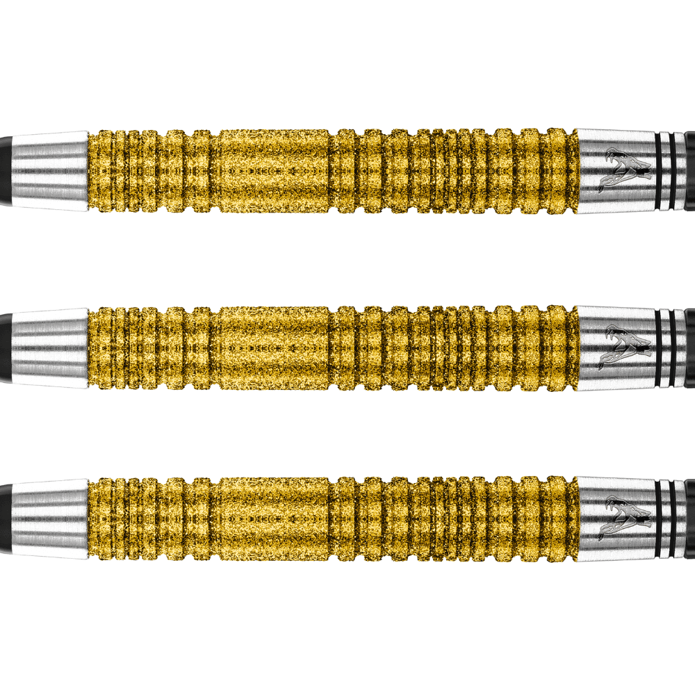 Red Dragon Peter Wright Double World Champion SE Gold Softdarts Detail