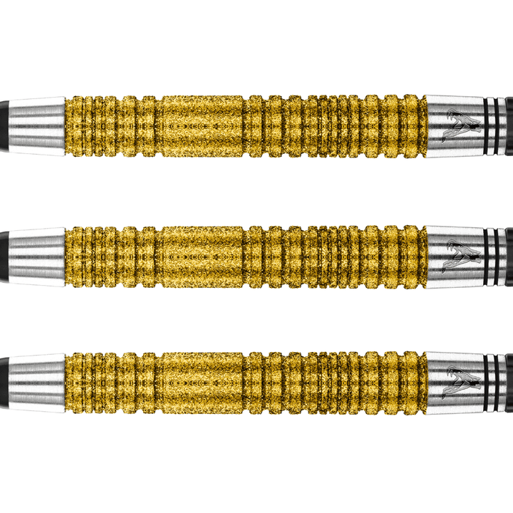 Red Dragon Peter Wright Double World Champion SE Gold Softdarts Detail
