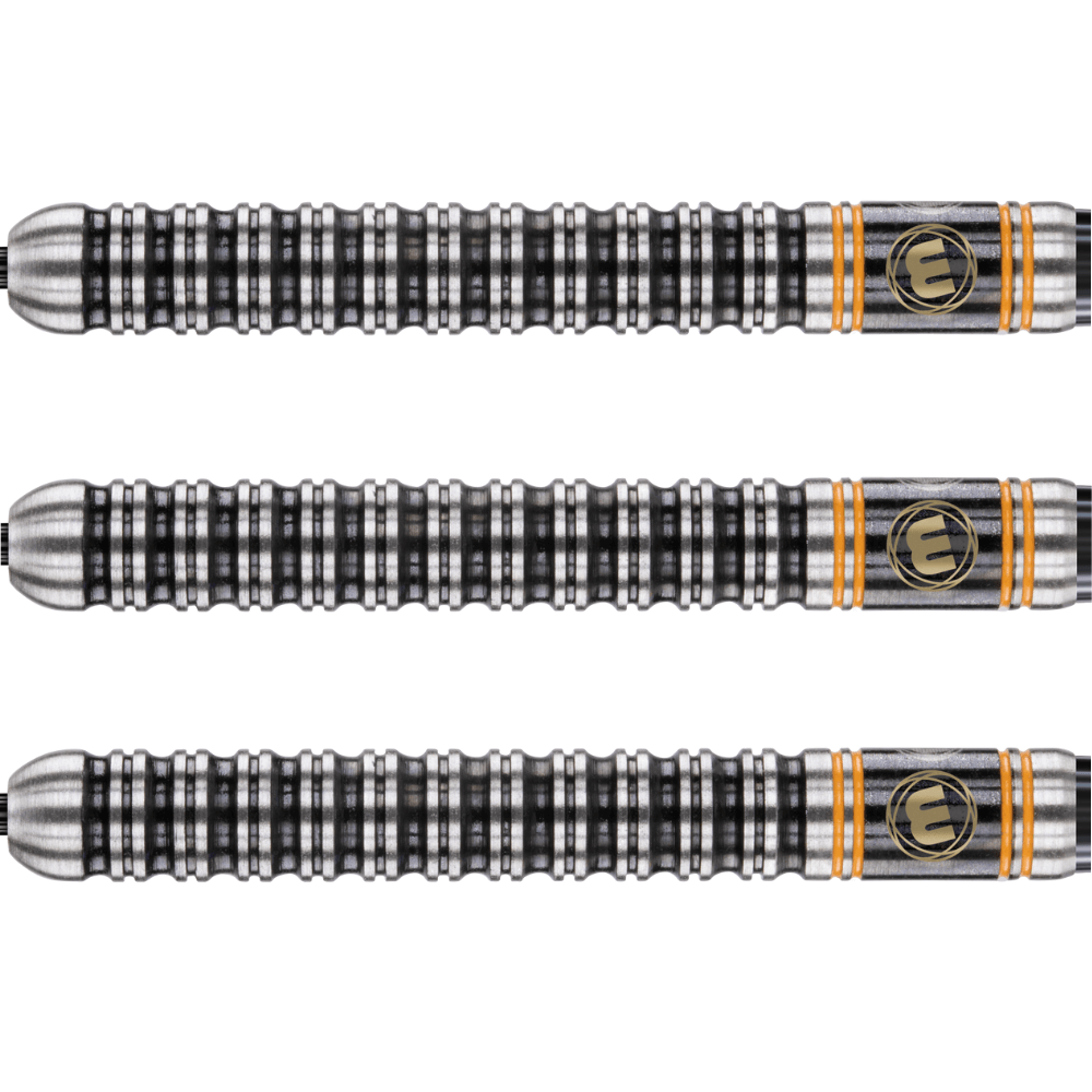 Winmau Danny Noppert Steeldarts Detail