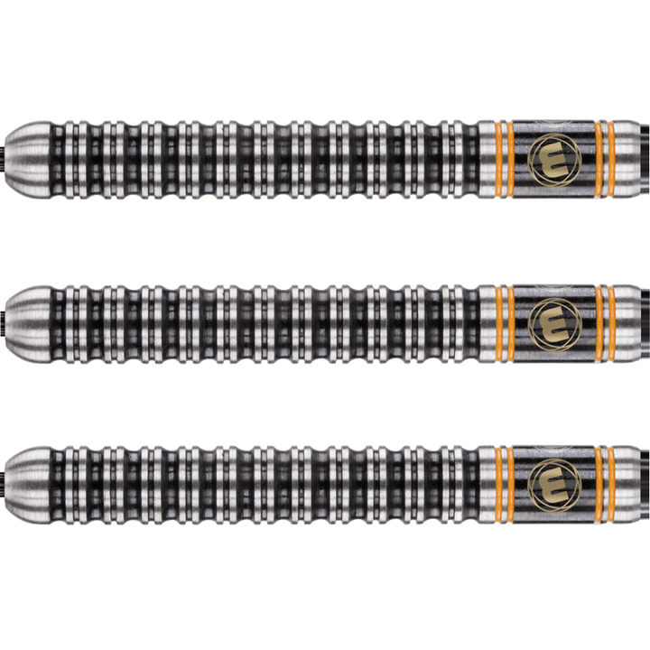 Winmau Danny Noppert Steeldarts Detail