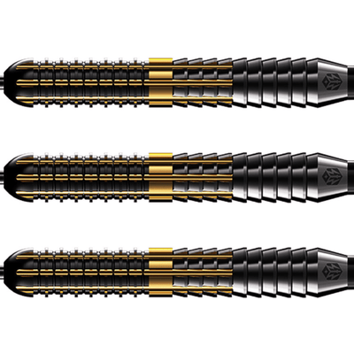 Caliburn Combo C2 Steeldarts Detail