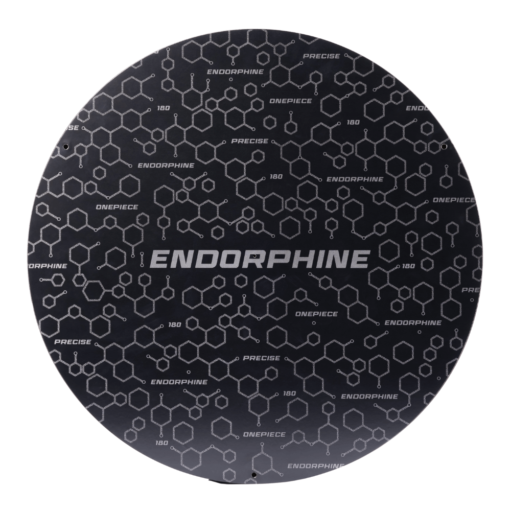 Precise180 Endorphine Dartboard ohne Zahlenring Rückseite