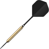 TMX BR10 V01 Steeldarts