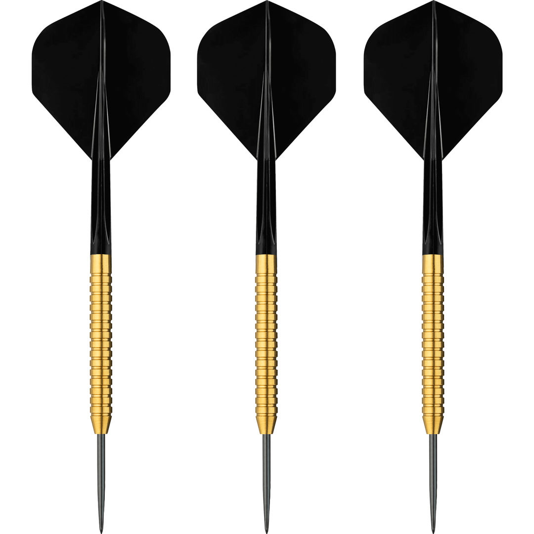 TMX S100 NO.2 GD Steeldarts Set