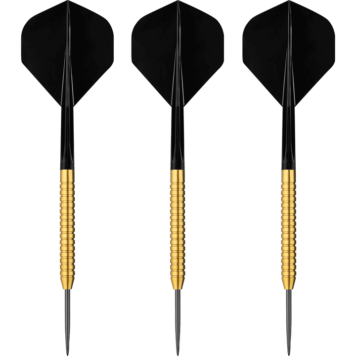 TMX S100 NO.2 GD Steeldarts Set