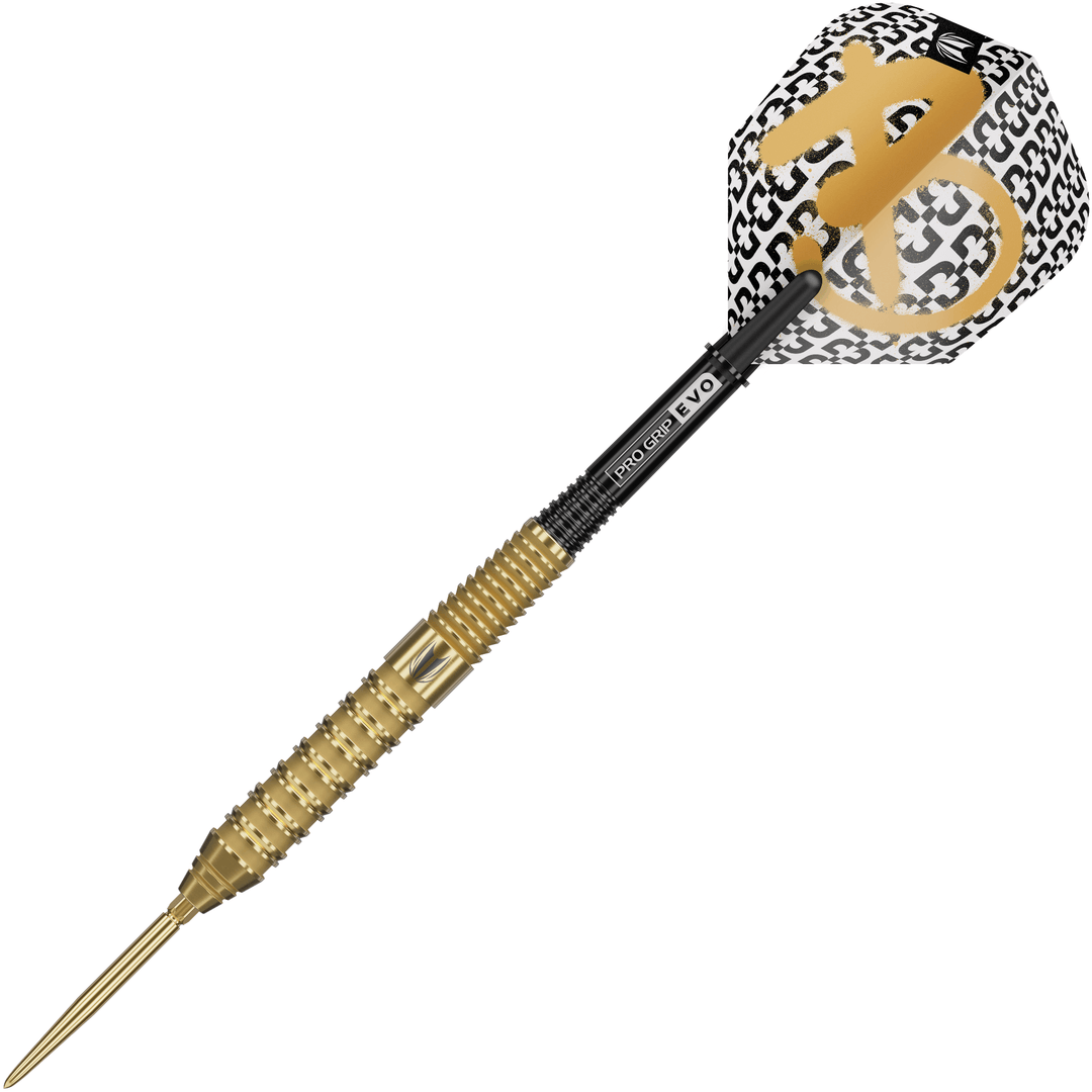 Target Bolide Envy 02 Swiss Point Steeldarts