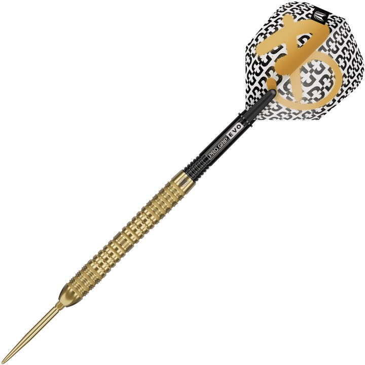 Target Bolide Envy 04 Swiss Point Steeldarts