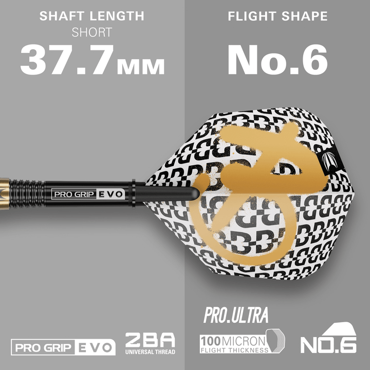 Target Bolide Envy 10 Softdarts Maße Shaft und Flight