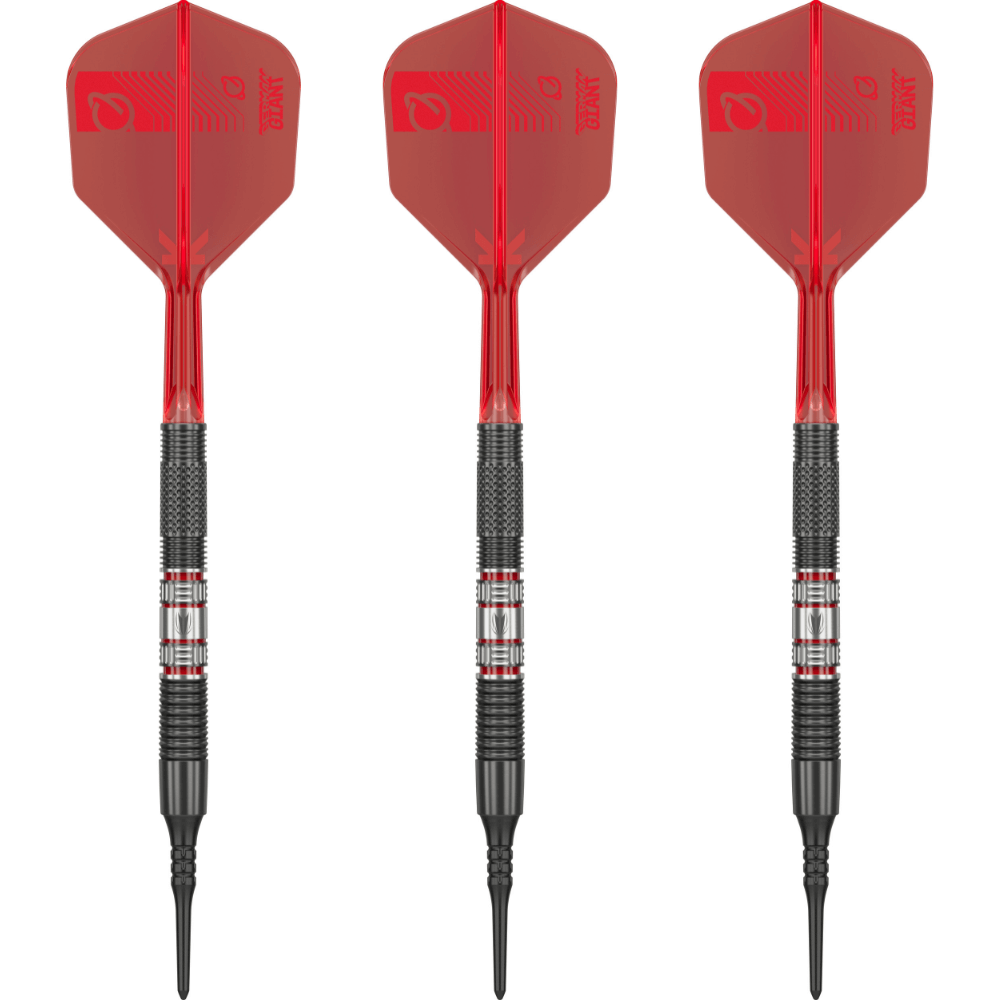 Target Gabriel Clemens 95K Softdarts Set