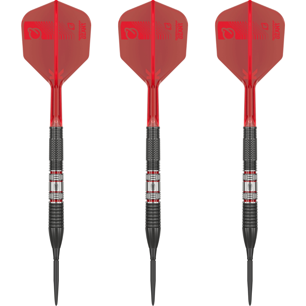 Target Gabriel Clemens 95K Swiss Point Steeldarts Set