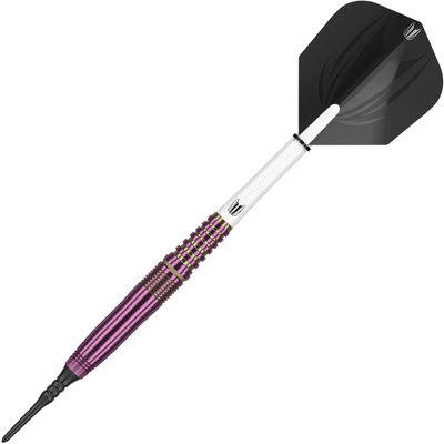 Target Japan Cathy Leung Brass Softdarts