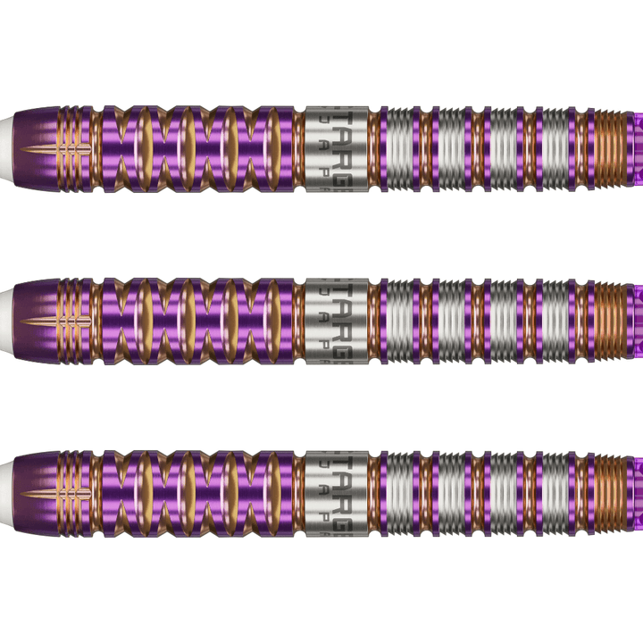 Target Japan Endeavour Gen 2 Softdarts Detail