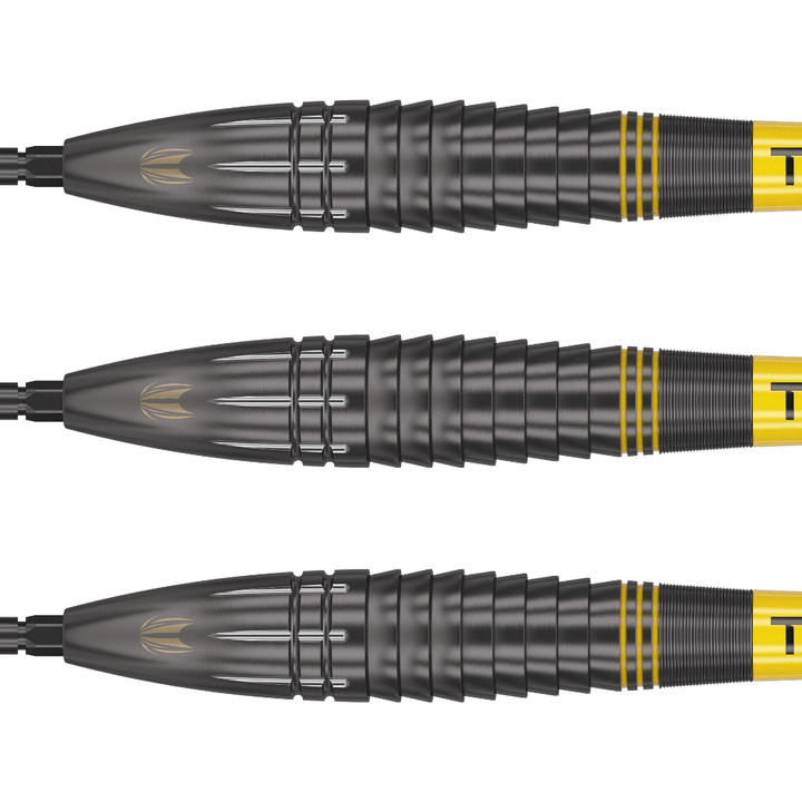 Target Scott Williams Black Swiss Point Steeldarts Detail