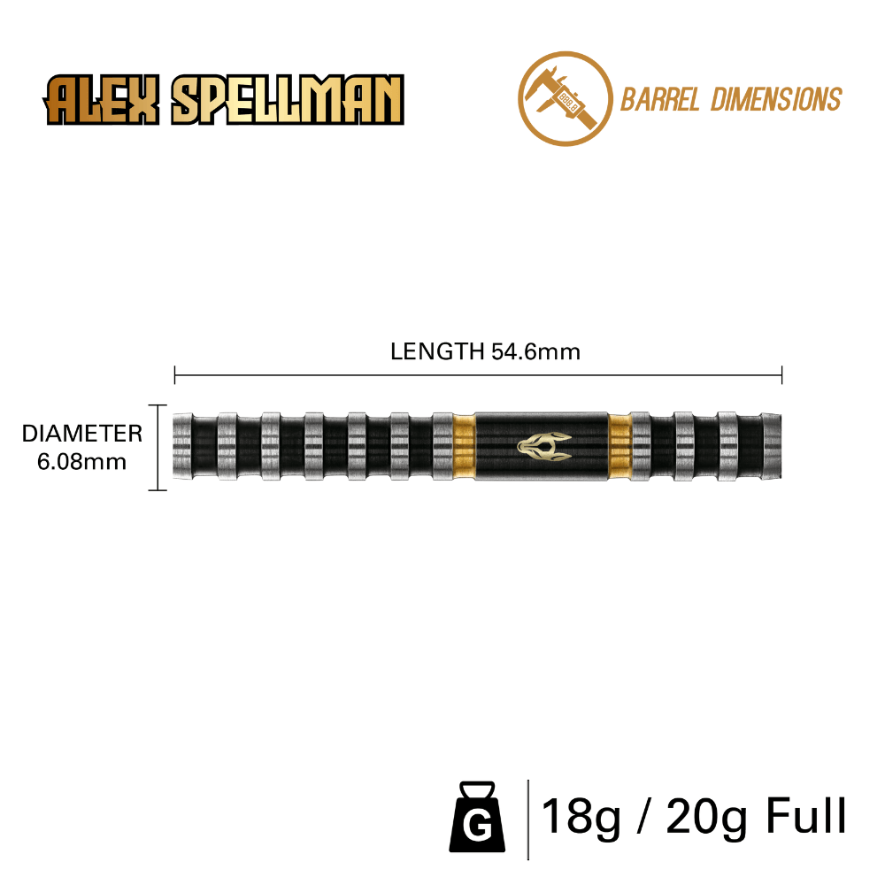Winmau Alex Spellman Softdarts Abmessung
