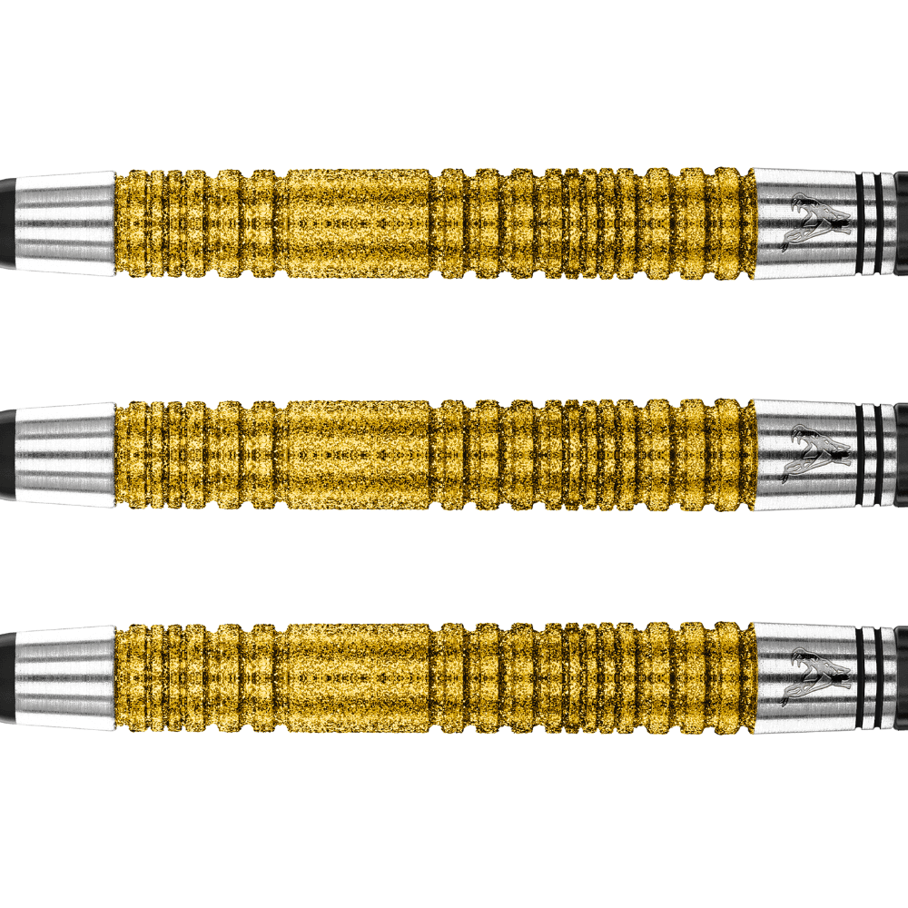 Red Dragon Peter Wright Double World Champion SE Gold Softdarts Detail 