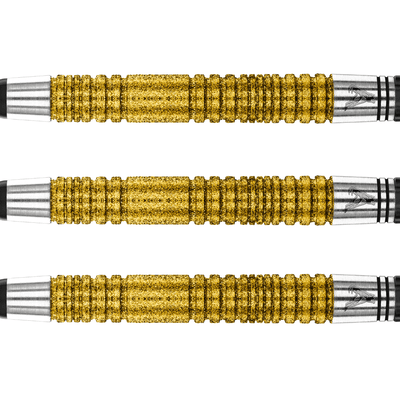 Red Dragon Peter Wright Double World Champion SE Gold Softdarts Detail 