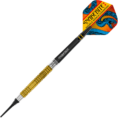 Red Dragon Peter Wright Double World Champion SE Gold Softdarts 