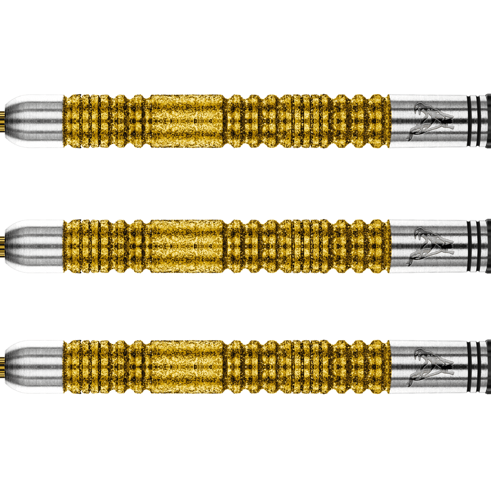 Red Dragon Peter Wright Double World Champion SE Gold Steeldarts Detail