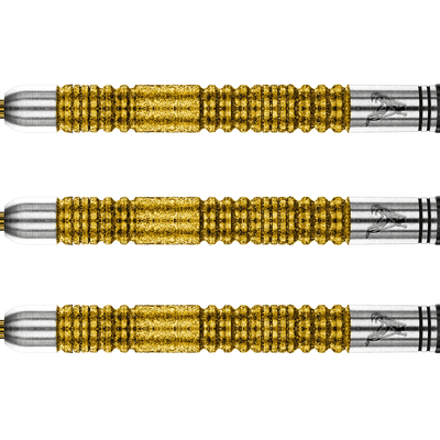 Red Dragon Peter Wright Double World Champion SE Gold Steeldarts Detail