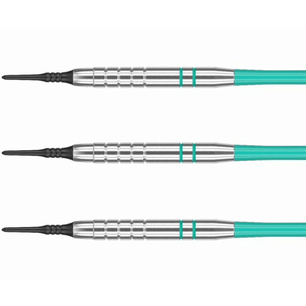 Target Rob Cross Silver Voltage Softdarts Detail
