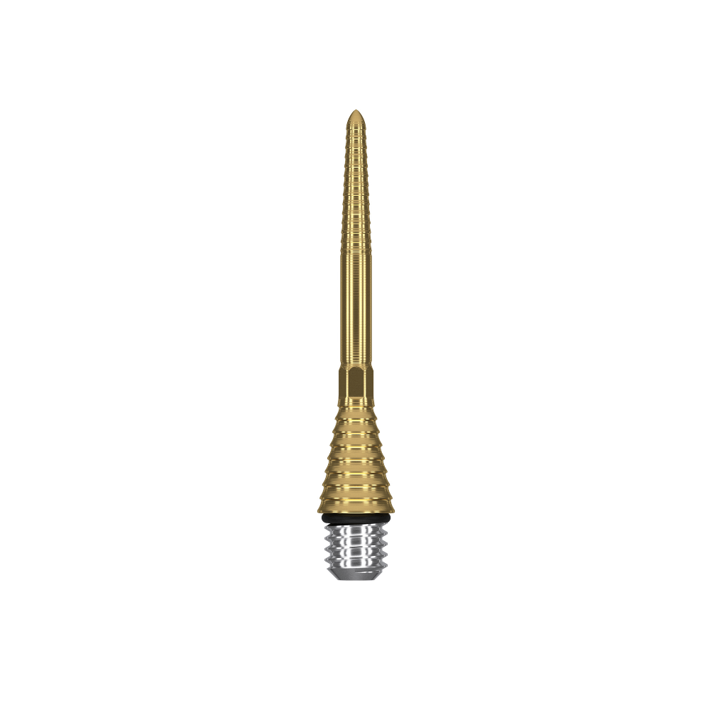 Target Titanium Grooved SP Conversion Steeldart Spitzen - Gold
